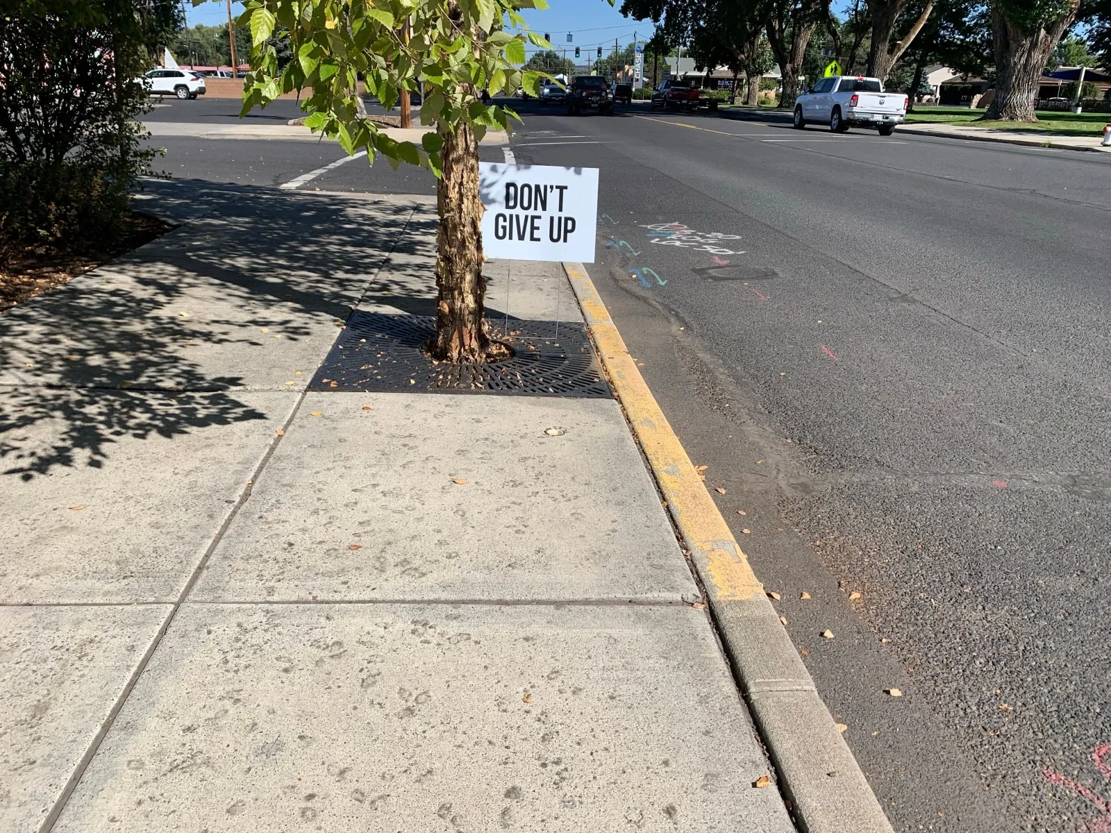 A “Don’t give up” sign on a tree beside the road